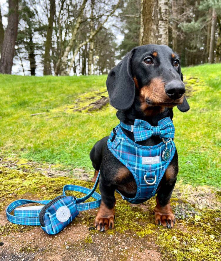 Adjustable Dog Harness | Plaid Date: XS