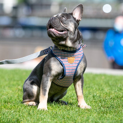 Fabric Dog Collar - Checkered Navy and Red: S