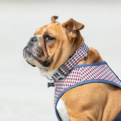 Fabric Dog Collar - Checkered Navy and Red: S