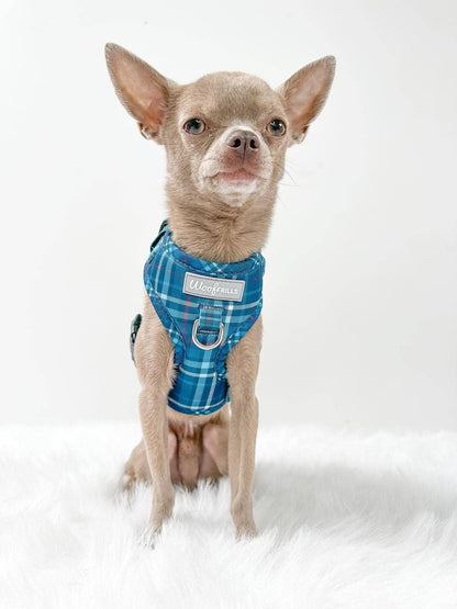 Adjustable Dog Harness | Plaid Date: XS