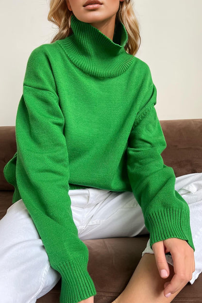 Taylor Turtleneck Sweater