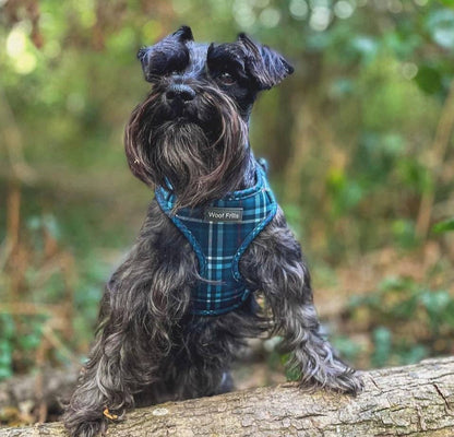 Adjustable Dog Harness | Plaid Date: XS